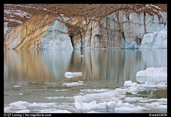 Front of Cavell Glacier reflected in glacial lake. Jasper National Park, Canadian Rockies, Alberta, Canada