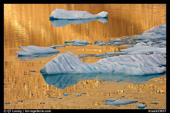 Icebergs and gold reflections, Cavel Pond. Jasper National Park, Canadian Rockies, Alberta, Canada (color)