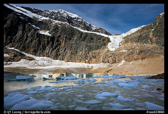 Icebergs and Cavell Pond at the base of Mt Edith Cavell, early morning. Jasper National Park, Canadian Rockies, Alberta, Canada