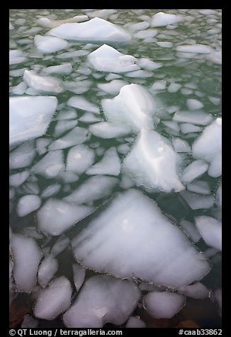 Tile of icebergs, Cavel Pond. Jasper National Park, Canadian Rockies, Alberta, Canada (color)
