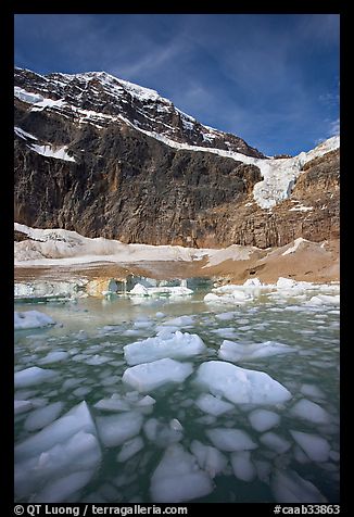 Iceberg-filled  Glacial Pond, and steep face of Mt Edith Cavell, early morning. Jasper National Park, Canadian Rockies, Alberta, Canada