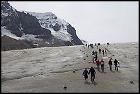 Tourists in a marked area of Athabasca Glacier. Jasper National Park, Canadian Rockies, Alberta, Canada ( color)
