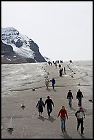 Tourists descending Athabasca Glacier. Jasper National Park, Canadian Rockies, Alberta, Canada ( color)