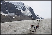 People amongst glacier and peaks, Columbia Icefield. Jasper National Park, Canadian Rockies, Alberta, Canada (color)