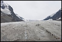 Toe of Athabasca Glacier with tourists in delimited area. Jasper National Park, Canadian Rockies, Alberta, Canada ( color)