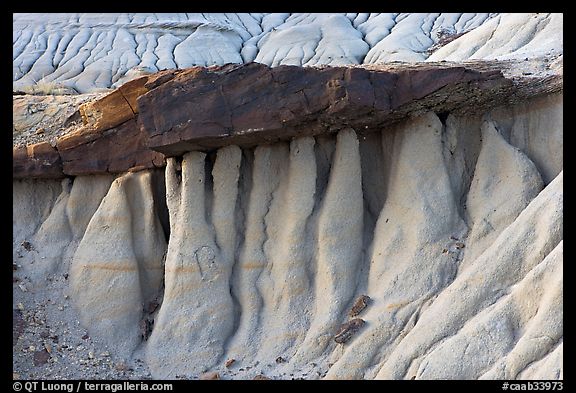 Eroded mud and caprock, Dinosaur Provincial Park. Alberta, Canada (color)