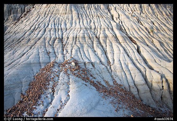 Badlands detail, with eroded clay and gravel, Dinosaur Provincial Park. Alberta, Canada (color)