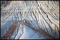 Badlands detail, with eroded clay and gravel, Dinosaur Provincial Park. Alberta, Canada ( color)