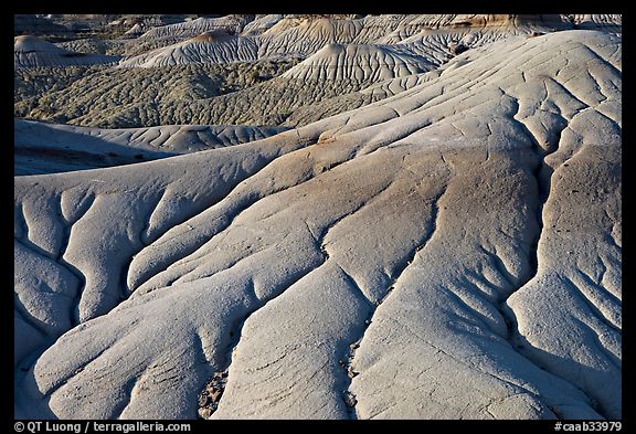 Erosion patters in mud, Dinosaur Provincial Park. Alberta, Canada (color)