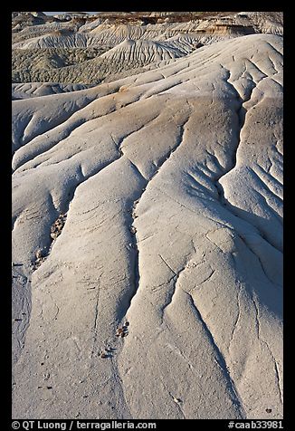 Patterns of mudstone erosion, Dinosaur Provincial Park. Alberta, Canada (color)