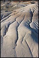 Patterns of mudstone erosion, Dinosaur Provincial Park. Alberta, Canada ( color)