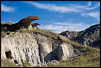Caprock rocks and badlands, Dinosaur Provincial Park. Alberta, Canada
