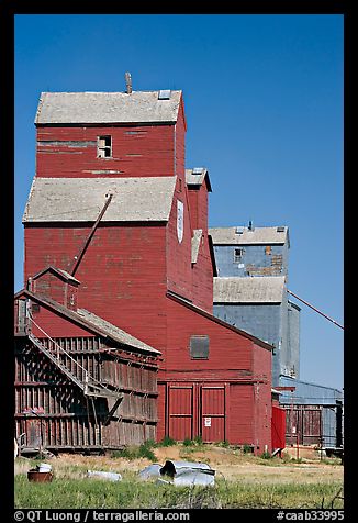 Wood grain storage buildings. Alberta, Canada (color)