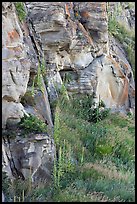 Cliff walls, Head-Smashed-In Buffalo Jump. Alberta, Canada ( color)