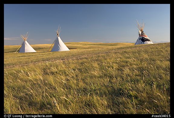Teepees and tall grass prairie, Head-Smashed-In Buffalo Jump. Alberta, Canada