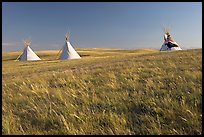 Teepees and tall grass prairie, Head-Smashed-In Buffalo Jump. Alberta, Canada (color)