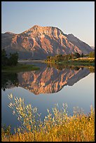 Vimy Peak and reflection in Middle Waterton Lake, sunrise. Waterton Lakes National Park, Alberta, Canada (color)