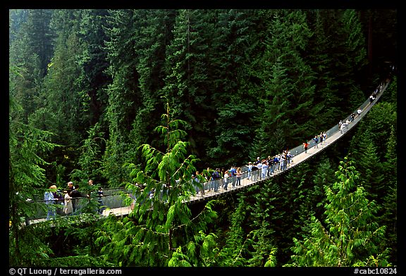 Capilano suspension bridge with tourists. Vancouver, British Columbia, Canada