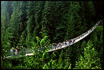 Capilano suspension bridge with tourists. Vancouver, British Columbia, Canada (color)