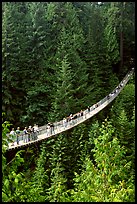 Capilano suspension bridge with tourists. Vancouver, British Columbia, Canada ( color)