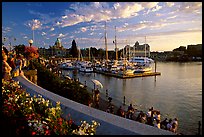 Flowers and Inner Harbour at sunset. Victoria, British Columbia, Canada (color)