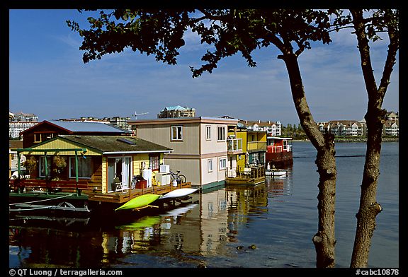 Houseboats. Victoria, British Columbia, Canada (color)