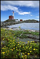 Flowers and Fisgard Lighthouse. Victoria, British Columbia, Canada