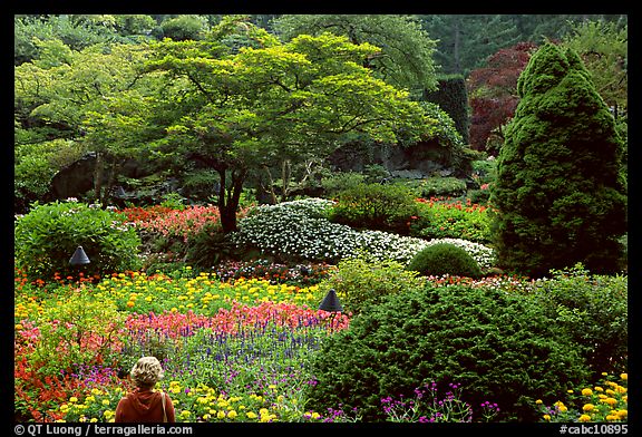 Tourist looking at flowers and trees in the Sunken Garden. Butchart Gardens, Victoria, British Columbia, Canada
