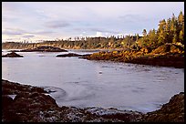 Half-moon bay, late afternoon. Pacific Rim National Park, Vancouver Island, British Columbia, Canada (color)