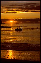 Small boat at Sunset, Half-moon bay. Pacific Rim National Park, Vancouver Island, British Columbia, Canada ( color)