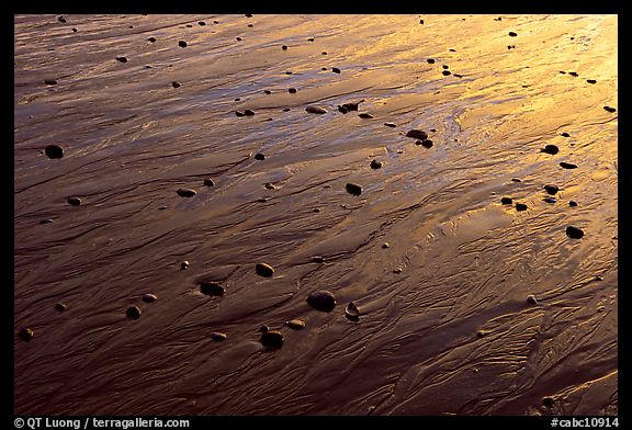 Reflections in wet sand at sunset, Half-moon bay. Pacific Rim National Park, Vancouver Island, British Columbia, Canada
