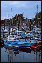 Commercial fishing fleet at dawn, Uclulet. Vancouver Island, British Columbia, Canada