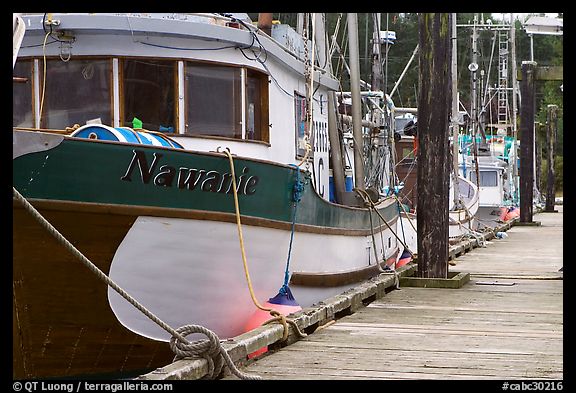 Commercial fishing boats, Uclulet. Vancouver Island, British Columbia, Canada (color)