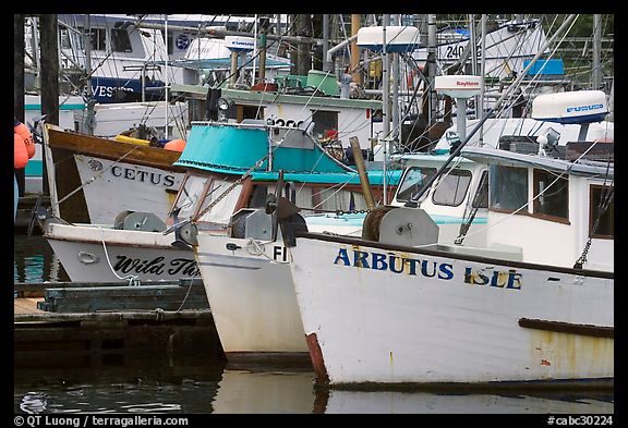 Commercial Fishing fleet, Uclulet. Vancouver Island, British Columbia, Canada (color)