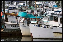 Commercial Fishing fleet, Uclulet. Vancouver Island, British Columbia, Canada