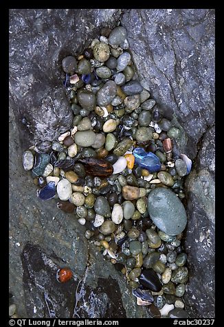 Pebbles and rock, South Beach. Pacific Rim National Park, Vancouver Island, British Columbia, Canada (color)