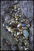Pebbles and rock, South Beach. Pacific Rim National Park, Vancouver Island, British Columbia, Canada ( color)