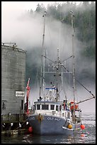 Commercial fishing boat and fog, Tofino. Vancouver Island, British Columbia, Canada