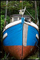 Prow of retired fishing boat. Vancouver Island, British Columbia, Canada ( color)
