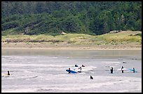 Surfers in Long Beach, the best surfing spot on Canada's west coast. Pacific Rim National Park, Vancouver Island, British Columbia, Canada (color)