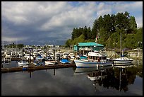 Small boat harbor, Port Alberni. Vancouver Island, British Columbia, Canada ( color)