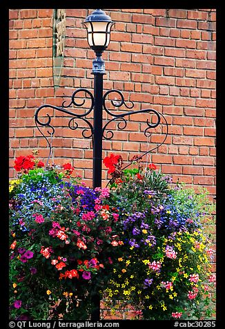 Flowers, street lamp, brick wall. Victoria, British Columbia, Canada