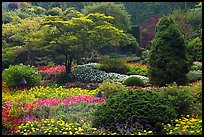 Pictures of Butchart Gardens