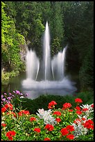 Ross Fountain and flowers. Butchart Gardens, Victoria, British Columbia, Canada (color)
