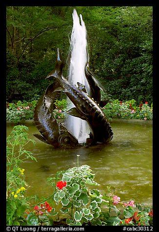 Three Sturgeons Fountain, with sculptures cast by Sirio Tofanari. Butchart Gardens, Victoria, British Columbia, Canada
