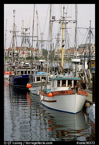 Commercial fishing fleet, Upper Harbour. Victoria, British Columbia, Canada (color)