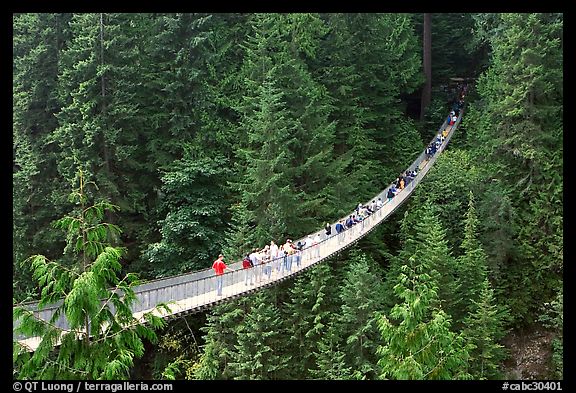 Capilano suspension bridge. Vancouver, British Columbia, Canada