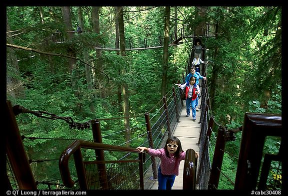 Kid on treetop trail. Vancouver, British Columbia, Canada