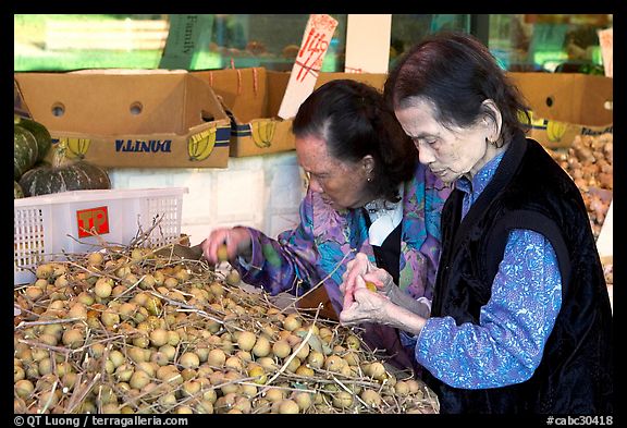 Two elderly women choosing tropical fruit. Vancouver, British Columbia, Canada (color)