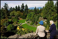 Elderly couple looking at the Sunken Garden in Queen Elizabeth Park. Vancouver, British Columbia, Canada ( color)